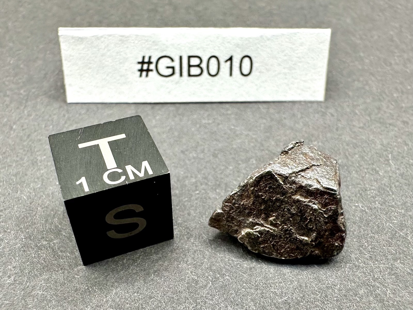 Meteoryt Gibeon 3,83 g (#GIB010) - obrazek 3