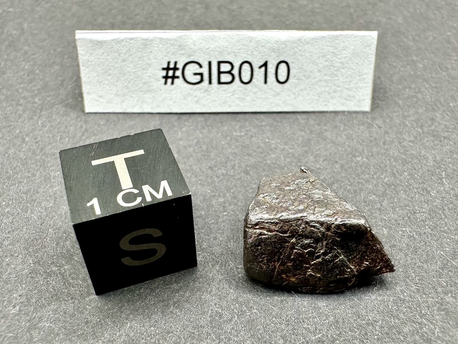 Meteoryt Gibeon 3,83 g (#GIB010) - obrazek 4