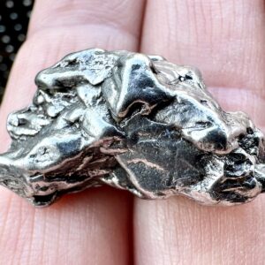 Meteoryt Campo del Cielo 23,33 g (#CDC654)