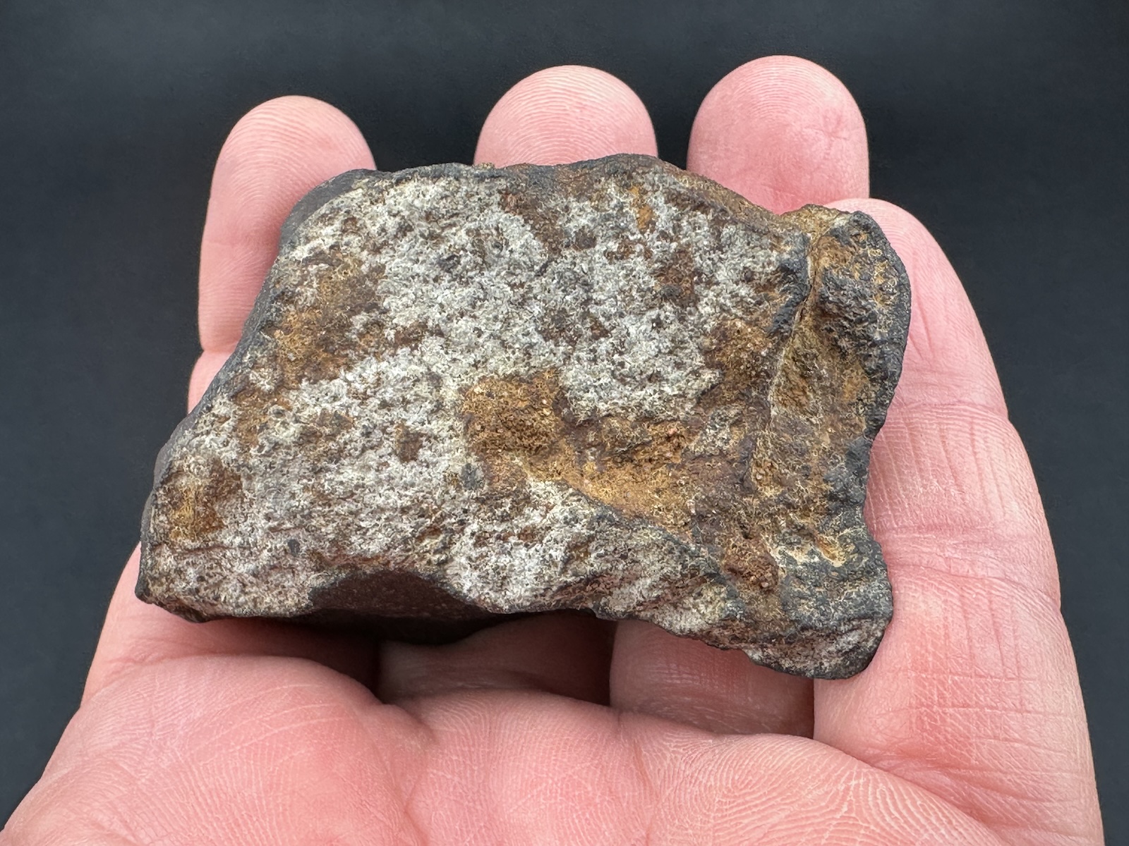 Meteoryt Pułtusk - 170,5 g - obrazek 4