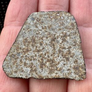 Meteoryt Hammadah al Hamra 346 - 10,96 g