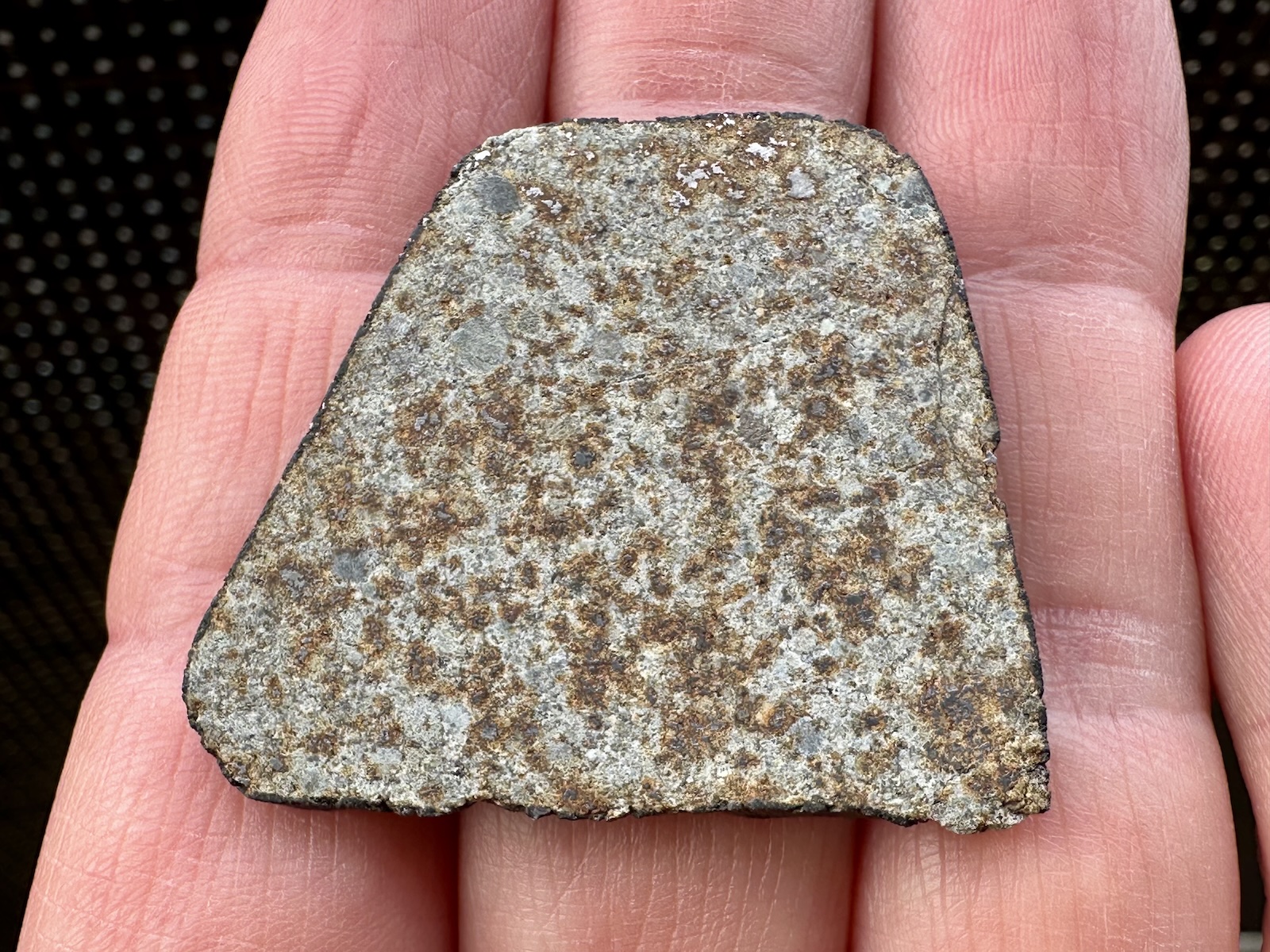 Meteoryt Hammadah al Hamra 346 - 10,96 g