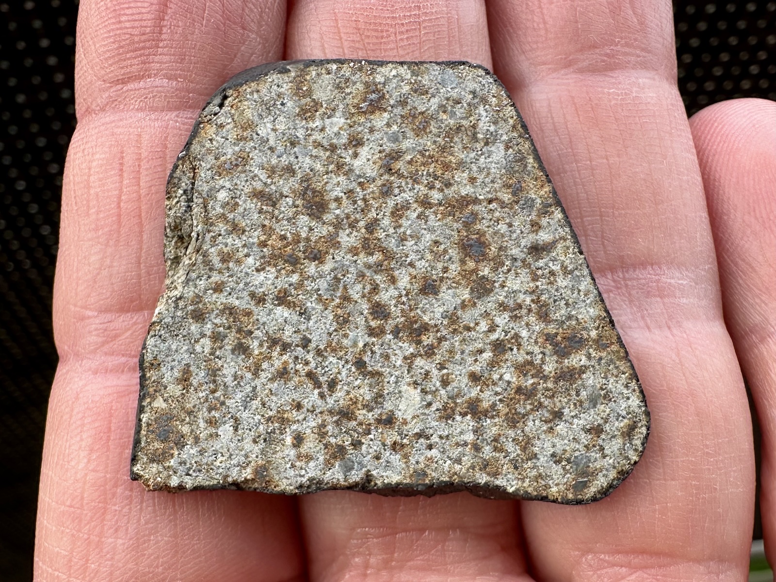 Meteoryt Hammadah al Hamra 346 - 10,96 g - obrazek 2