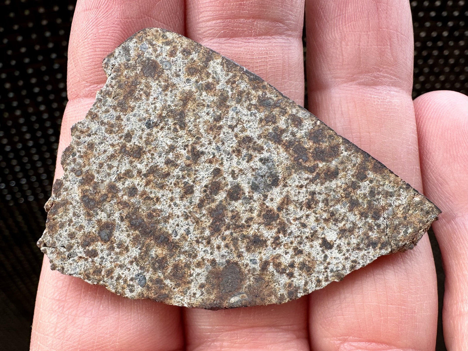 Meteoryt NWA 10113 - 18,03 g - obrazek 2
