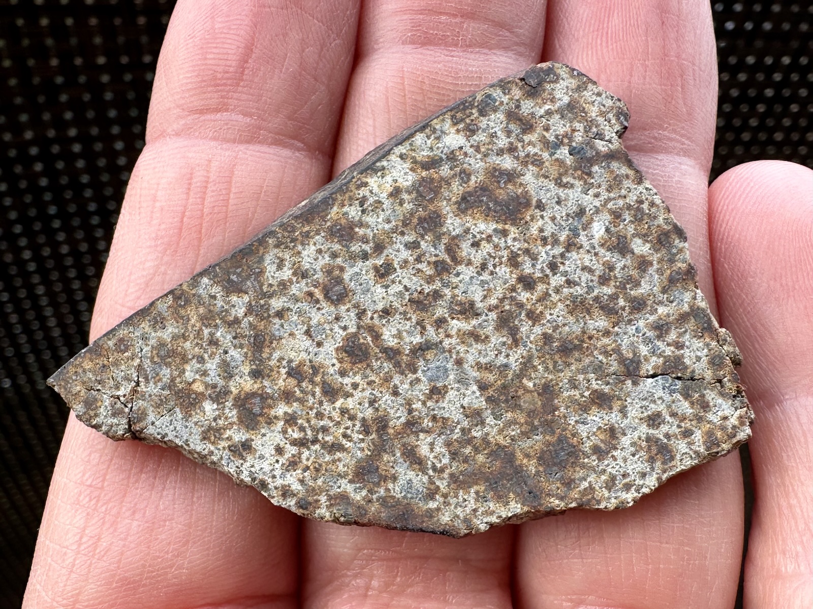 Meteoryt NWA 10113 - 18,03 g